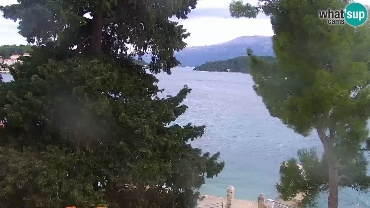 Lumbarda resort Web Kamera Korčula