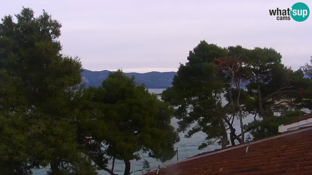 Lumbarda resort – livecam Korčula
