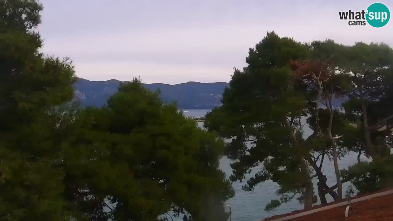 Lumbarda Resort camera en vivo Korčula