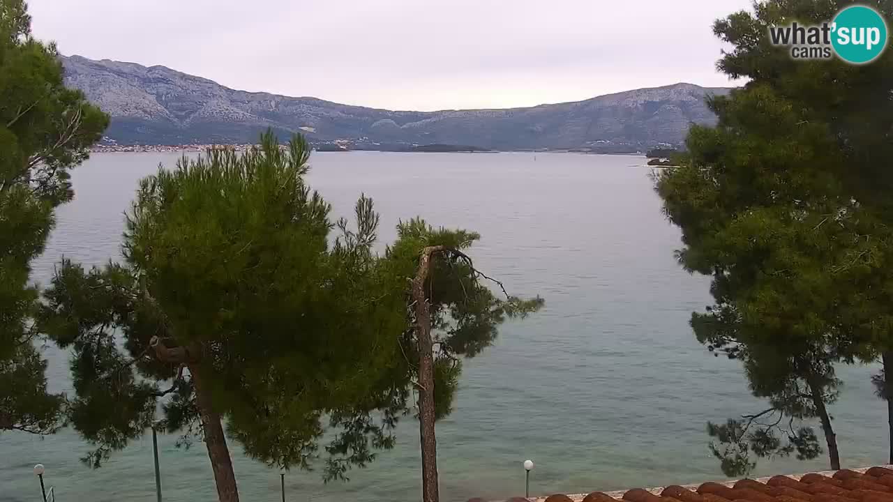 Lumbarda resort Spletna kamera Korčula