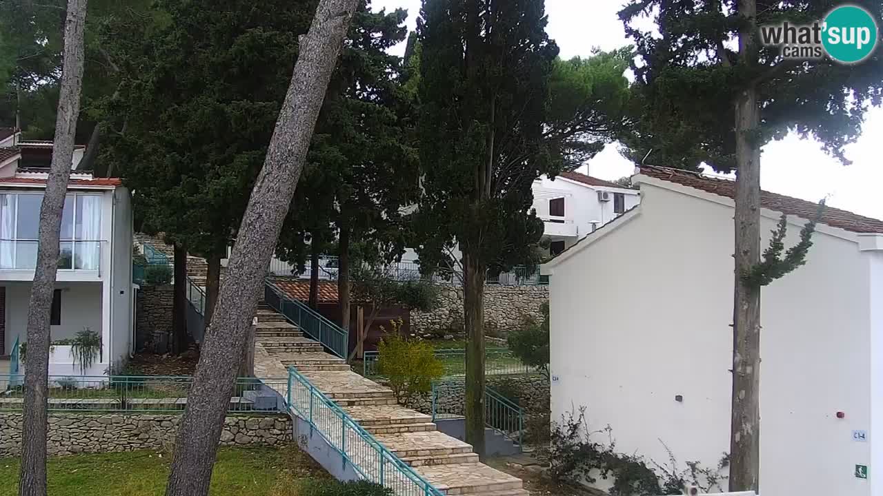 Lumbarda resort Spletna kamera Korčula