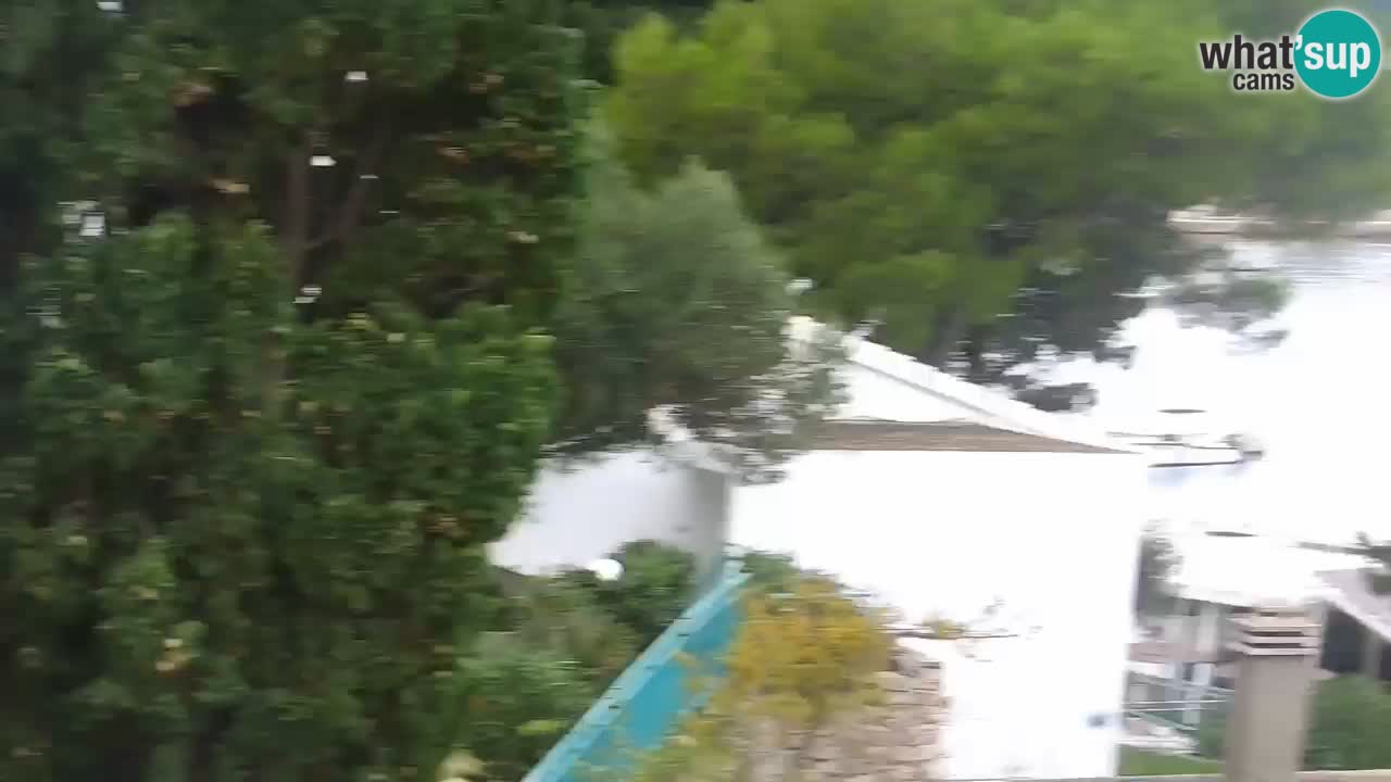 Lumbarda Resort camera en vivo Korčula