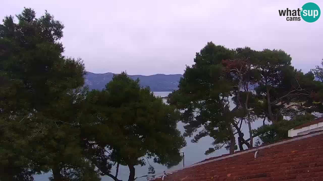Lumbarda Resort camera en vivo Korčula