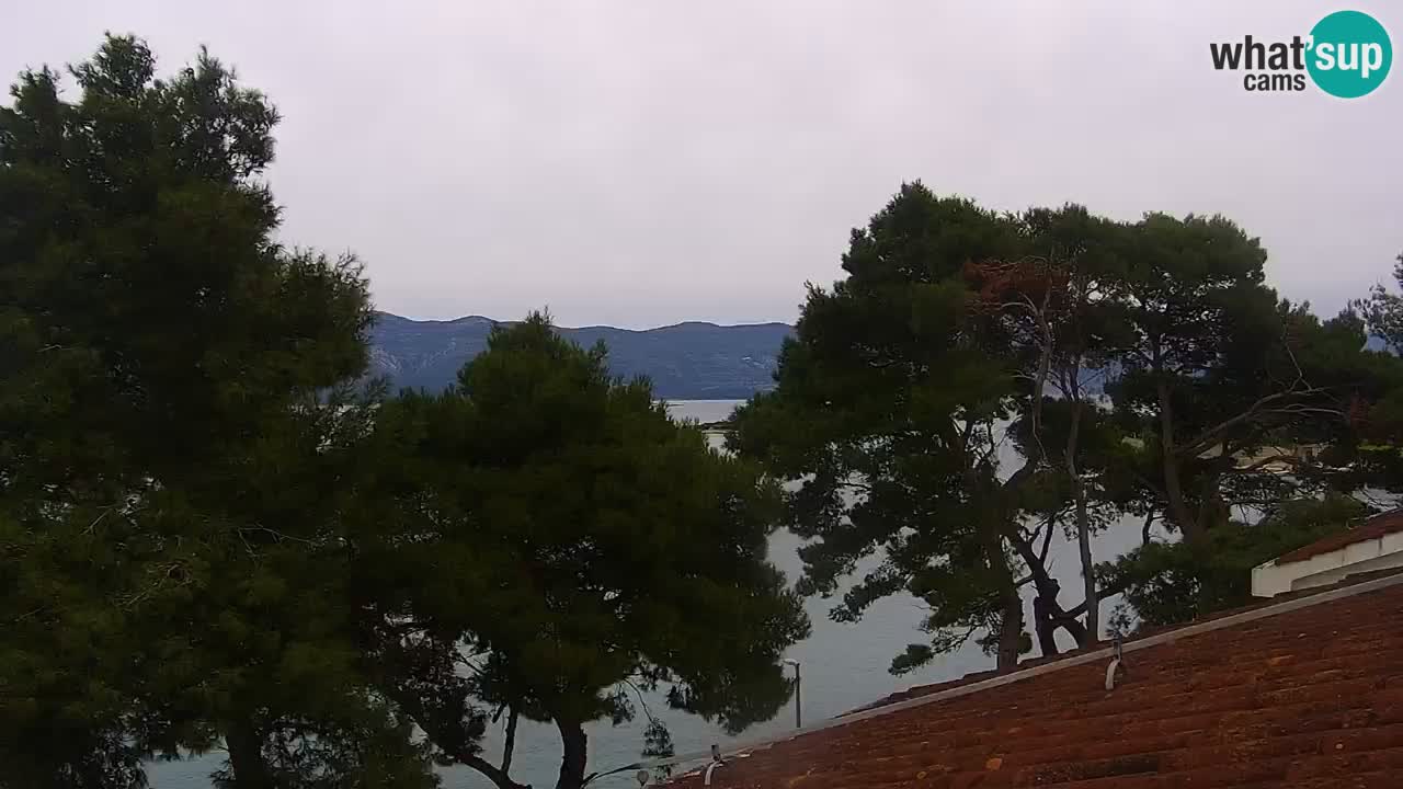 Lumbarda resort Webcam Korčula