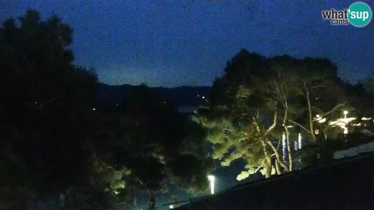 Lumbarda resort Spletna kamera Korčula