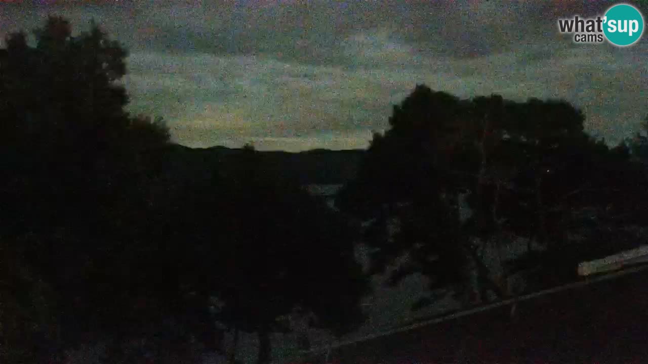 Lumbarda resort Webcam Korčula