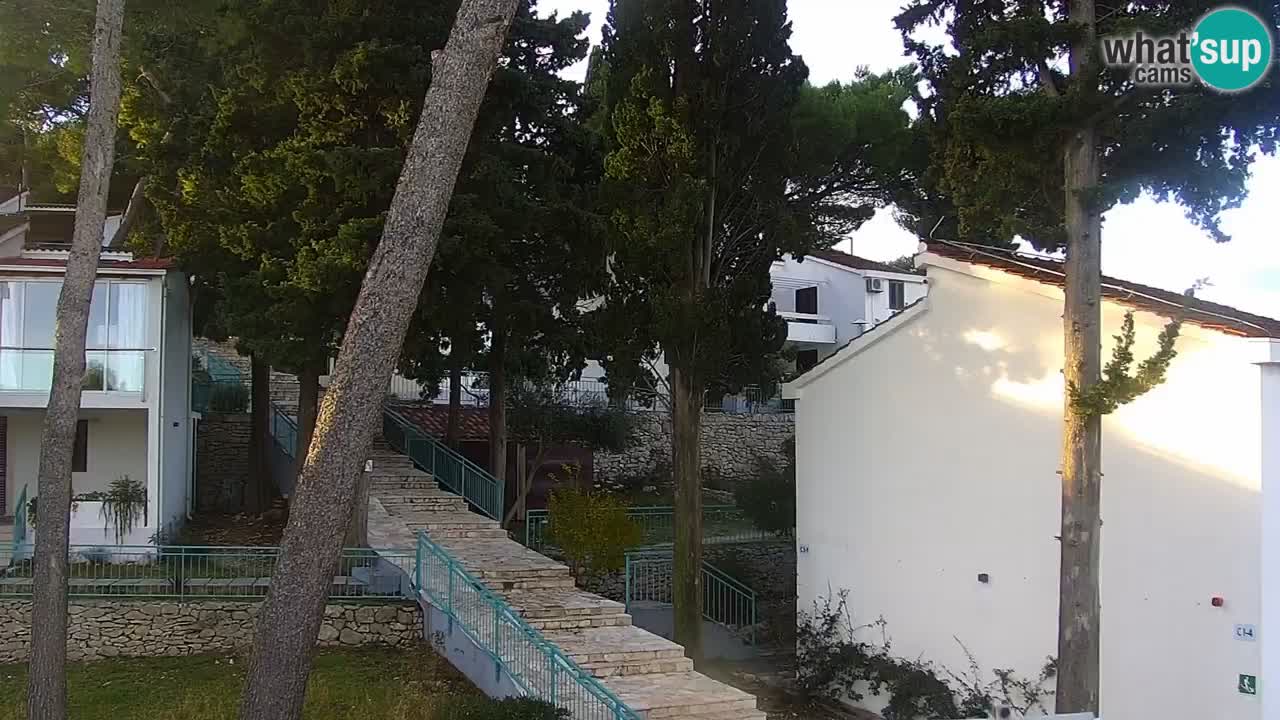 Lumbarda resort Spletna kamera Korčula