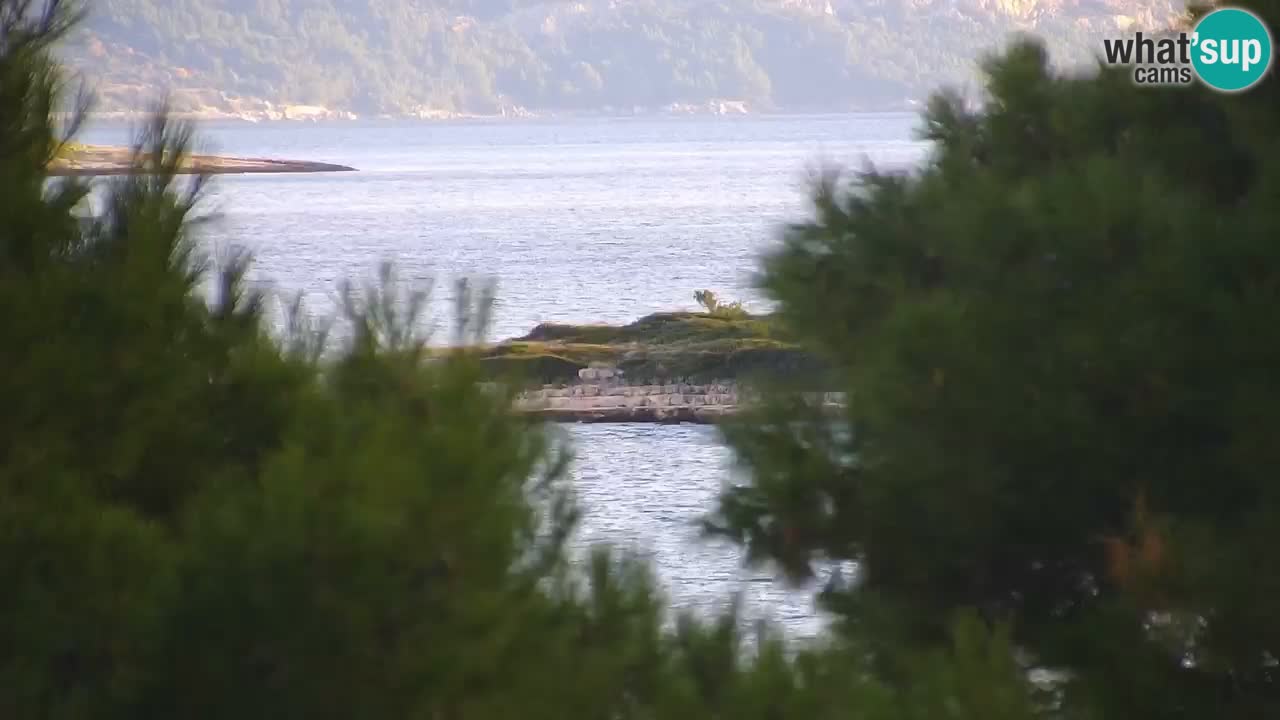 Lumbarda resort Spletna kamera Korčula