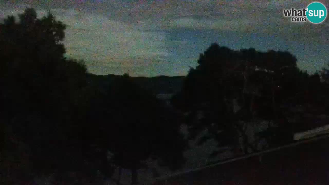 Lumbarda Resort camera en vivo Korčula