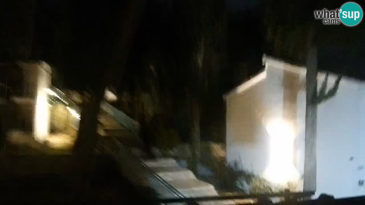 Lumbarda Resort camera en vivo Korčula