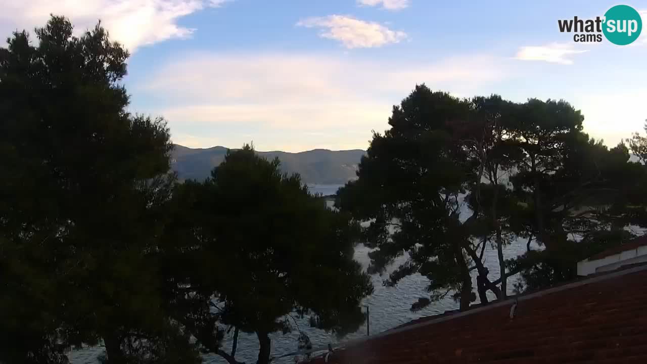 Lumbarda resort Spletna kamera Korčula