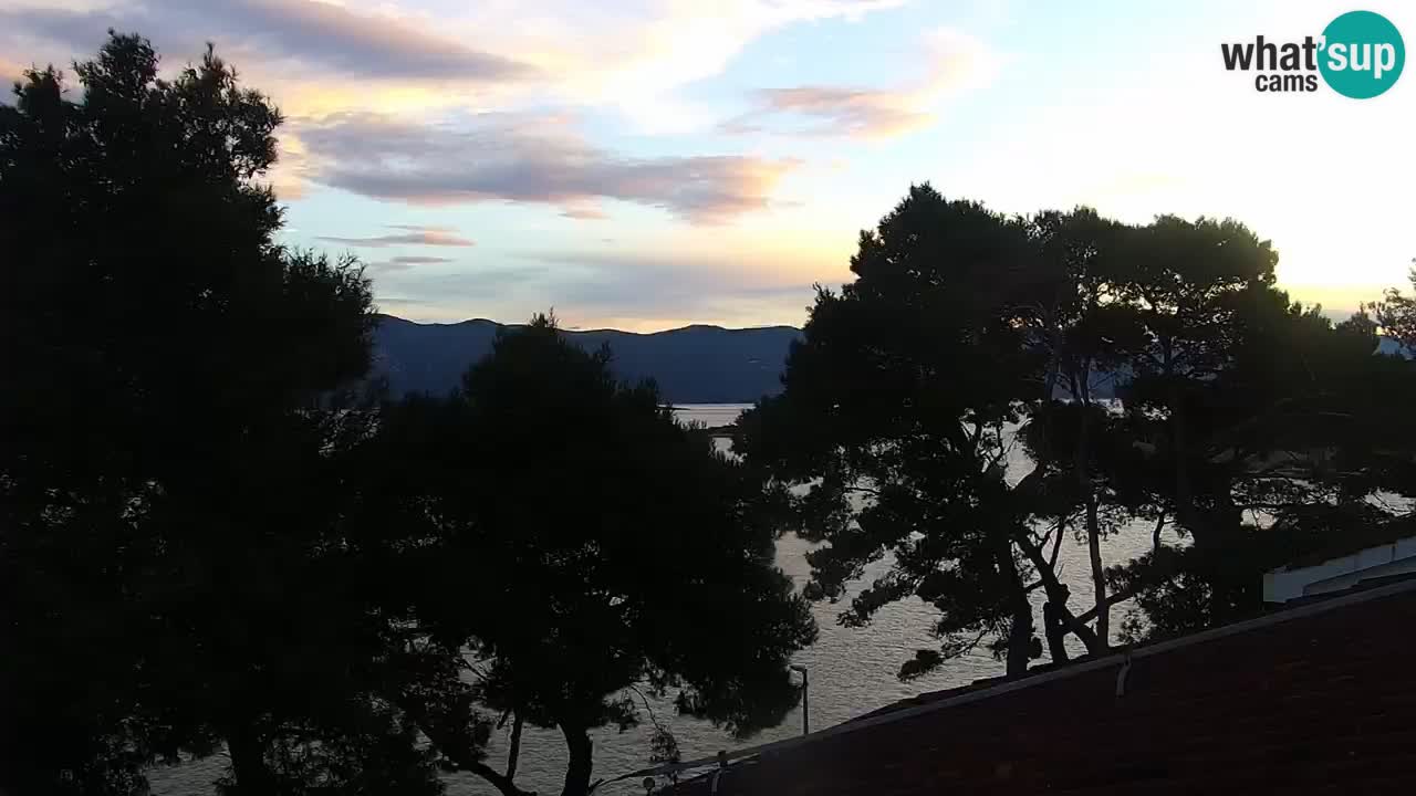 Lumbarda resort Web Kamera Korčula