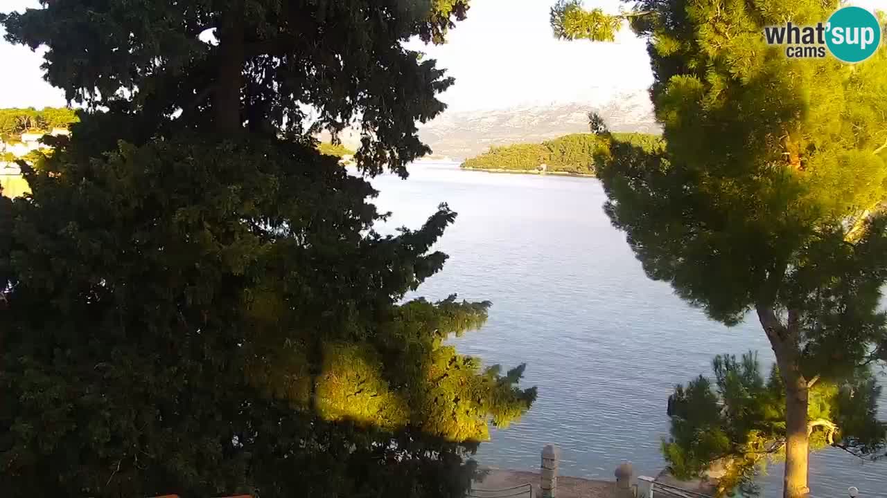 Lumbarda Resort live cam Curzola