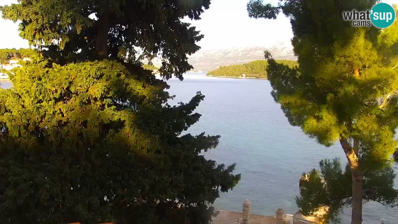 Lumbarda Resort camera en vivo Korčula