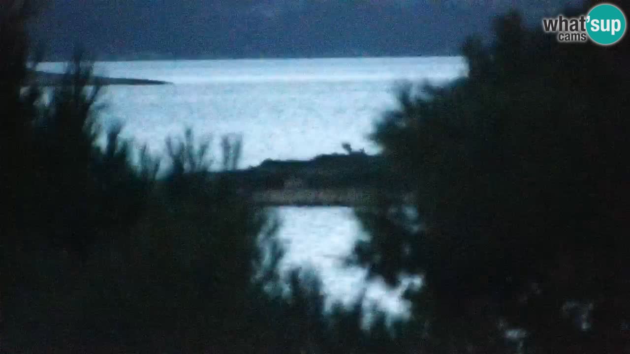 Lumbarda resort Spletna kamera Korčula