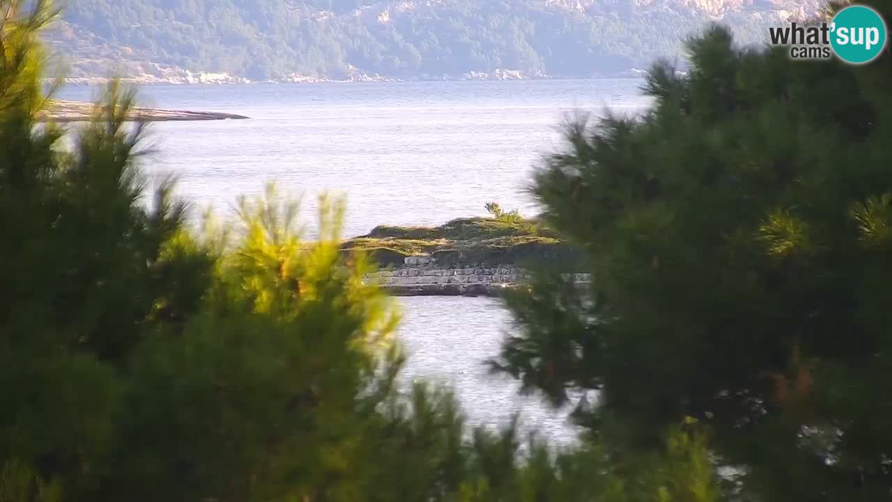 Lumbarda resort Web Kamera Korčula