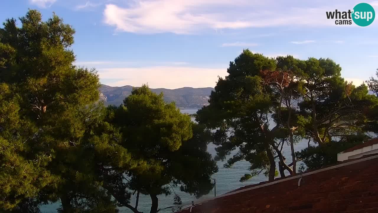 Lumbarda Resort live cam Curzola