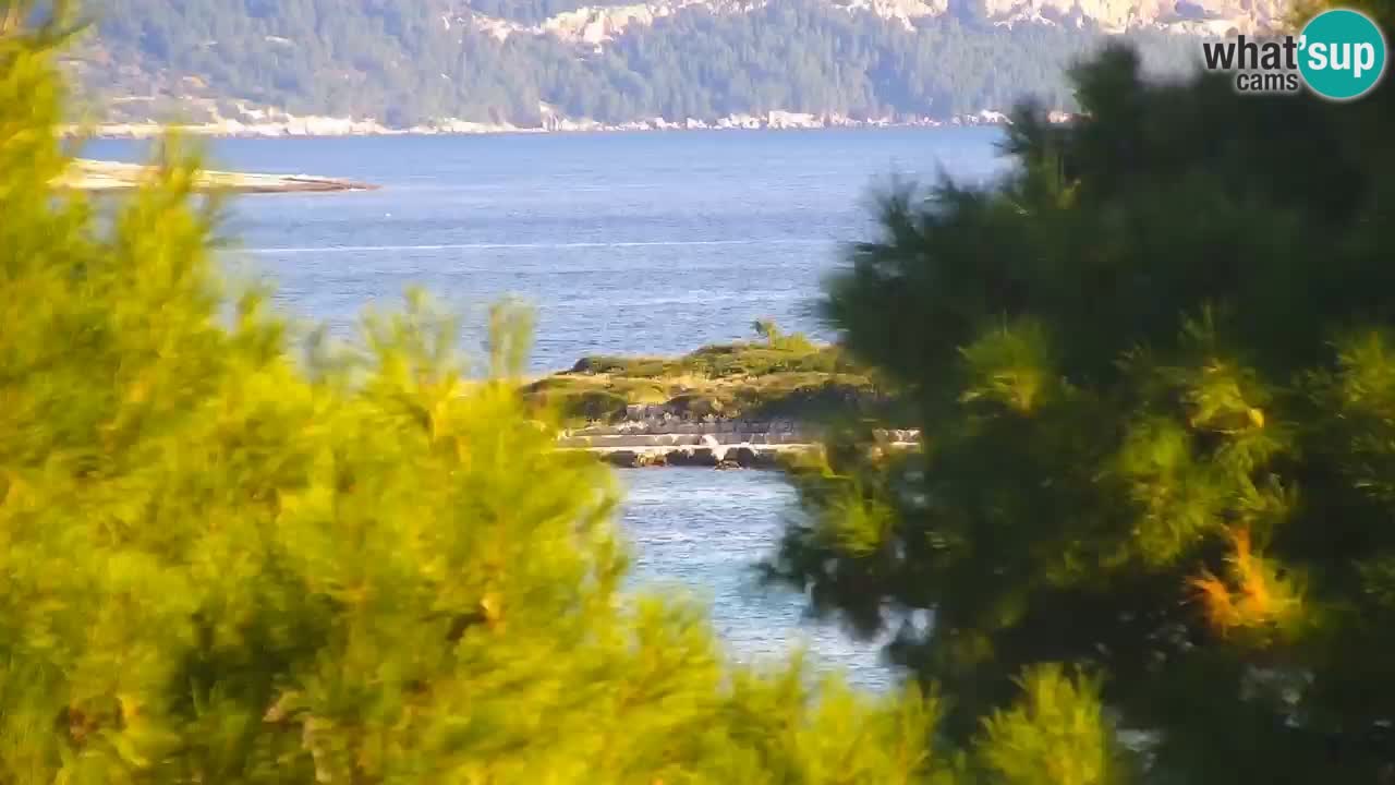 Lumbarda Resort webcam Kurzel