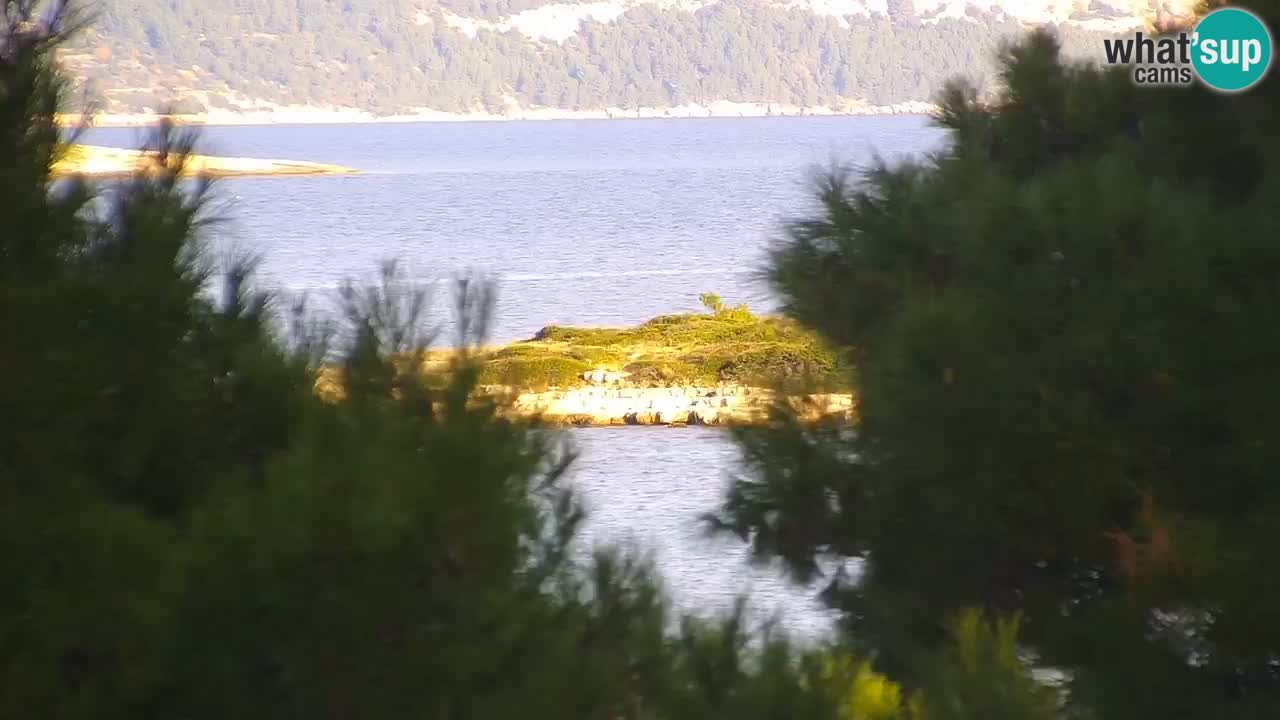 Lumbarda resort Spletna kamera Korčula