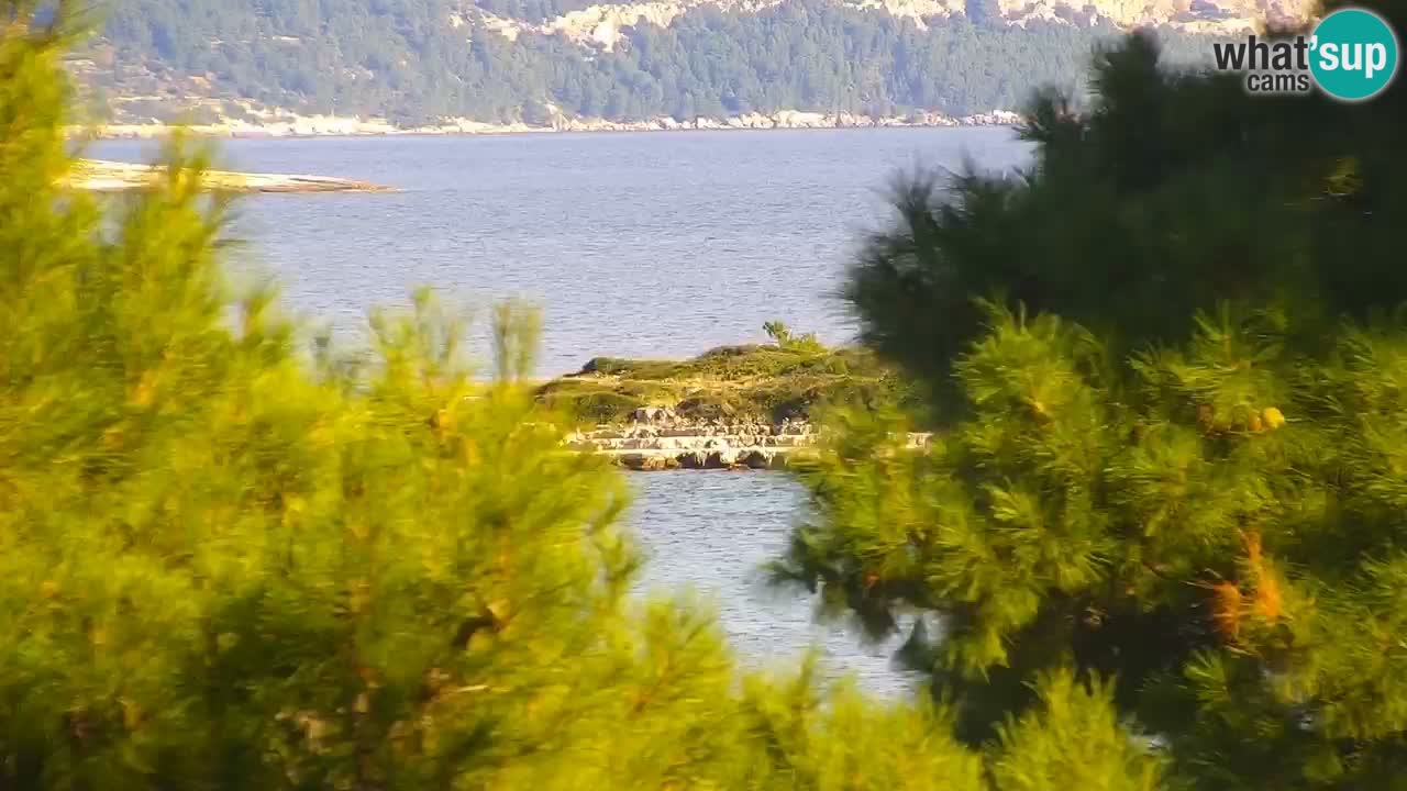 Lumbarda resort Web Kamera Korčula