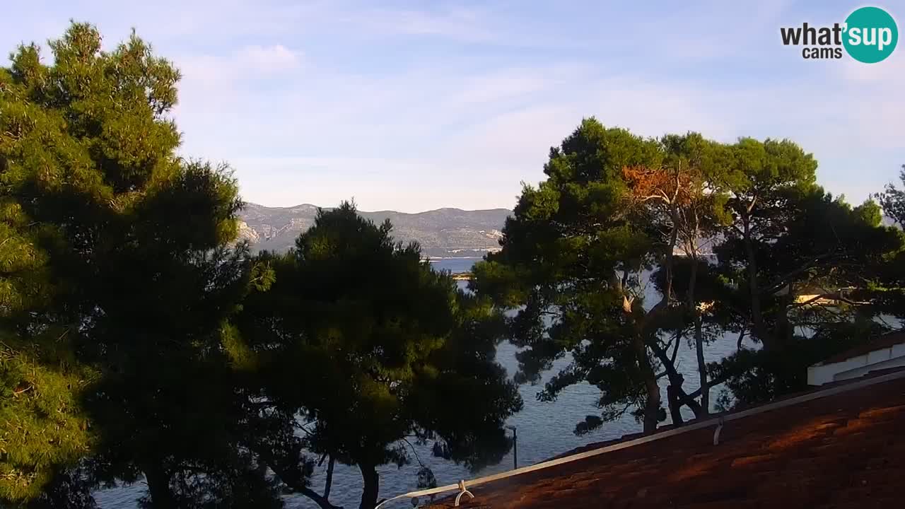 Lumbarda Resort live cam Curzola