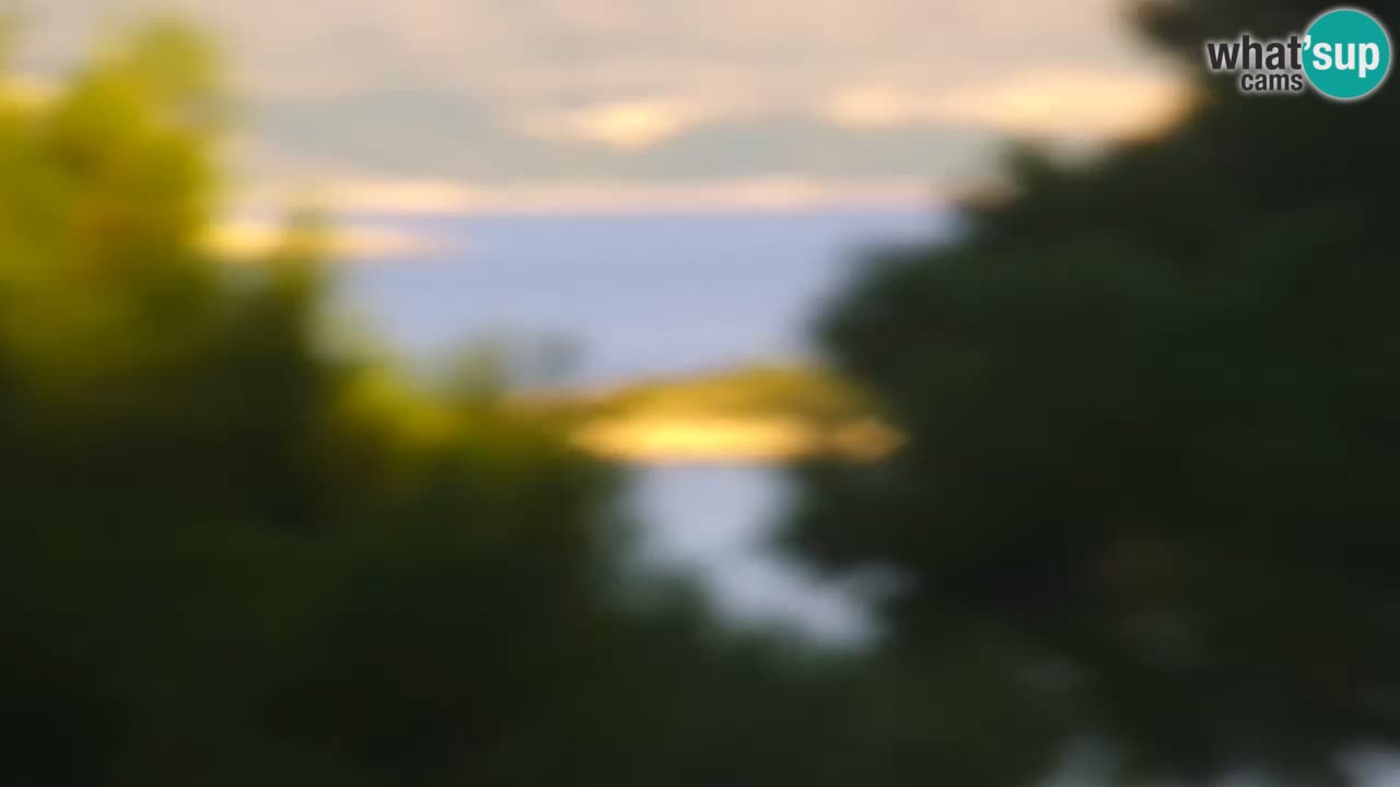 Lumbarda Resort webcam Kurzel