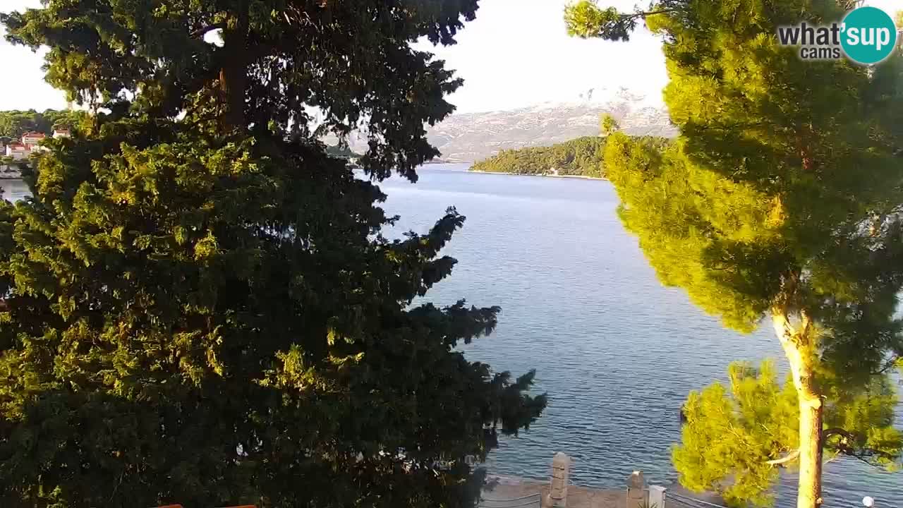 Lumbarda resort Spletna kamera Korčula