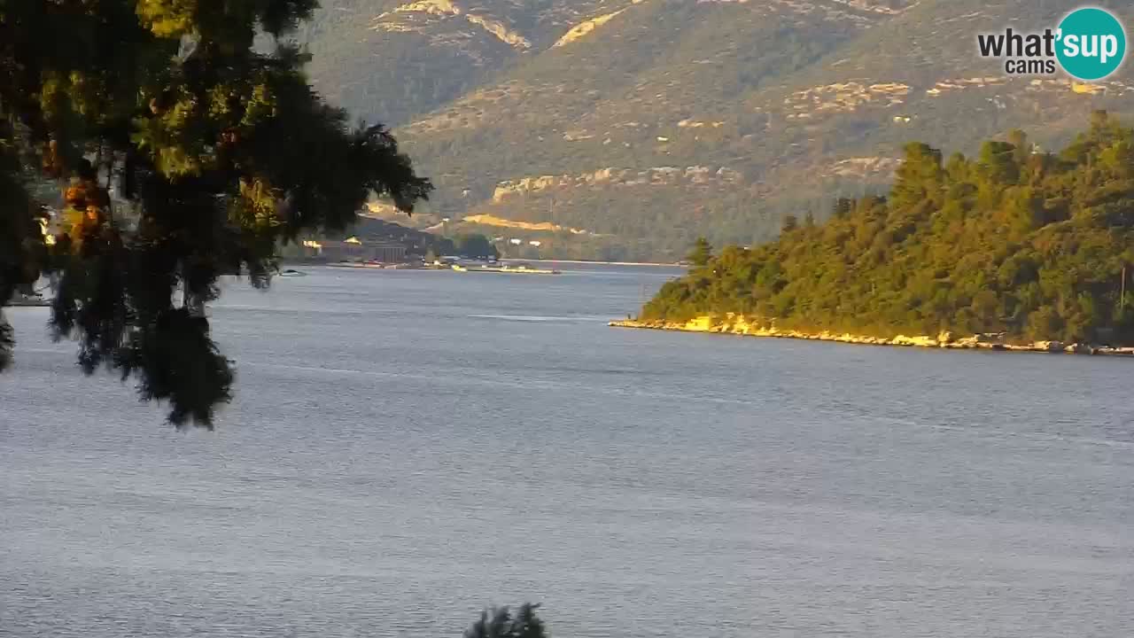 Lumbarda resort Web Kamera Korčula