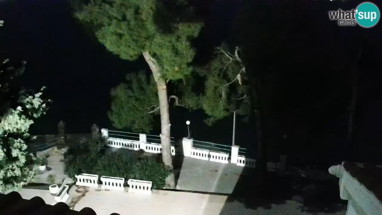 Lumbarda Resort camera en vivo Korčula