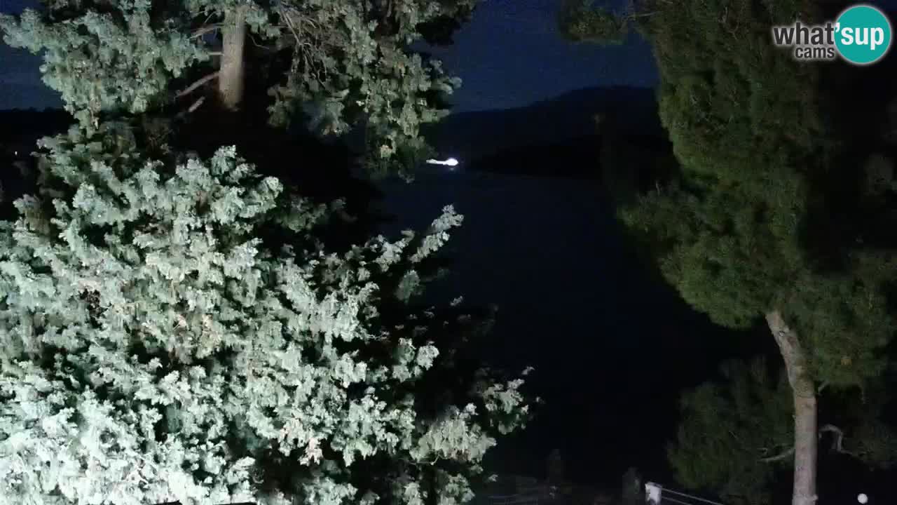 Lumbarda resort Webcam Korčula