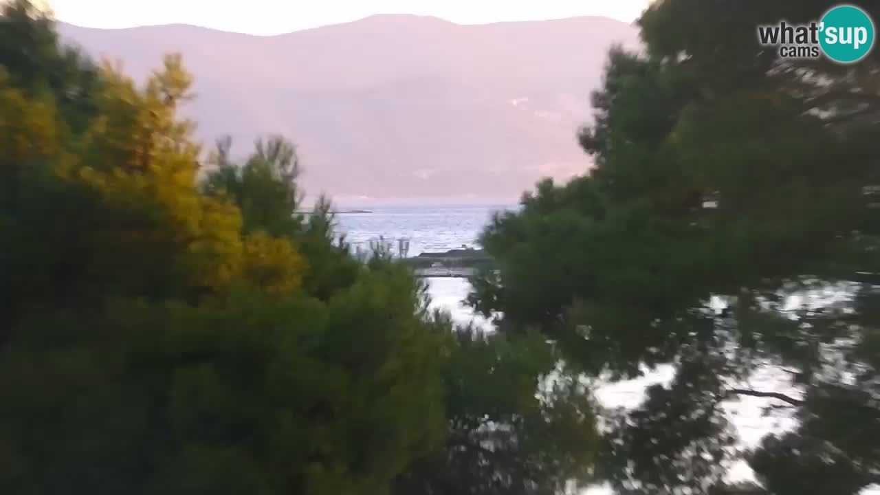 Lumbarda resort Webcam Korčula