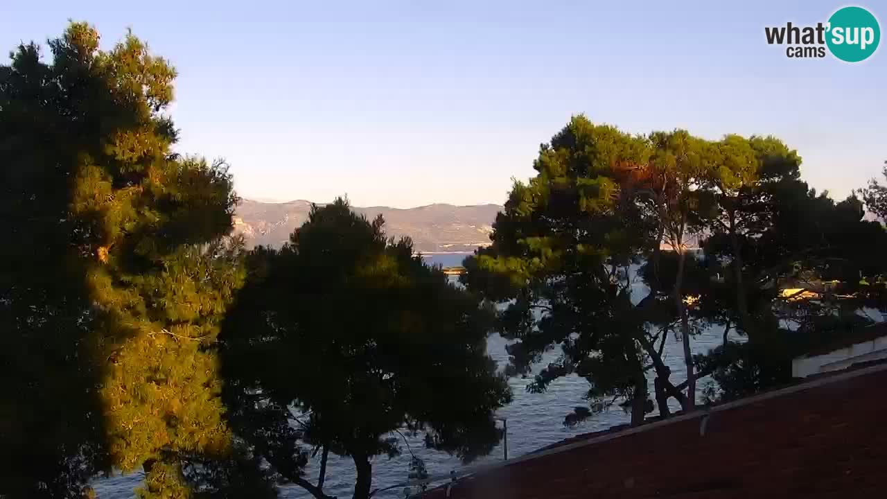 Lumbarda resort Webcam Korčula