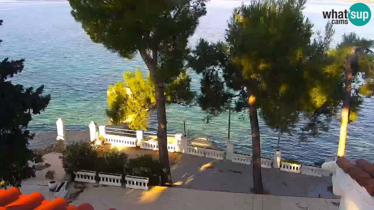 Lumbarda resort Webcam Korčula