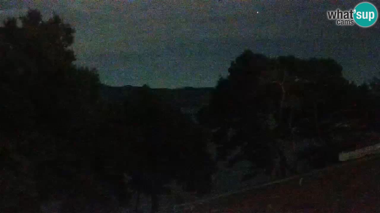 Lumbarda resort Webcam Korčula