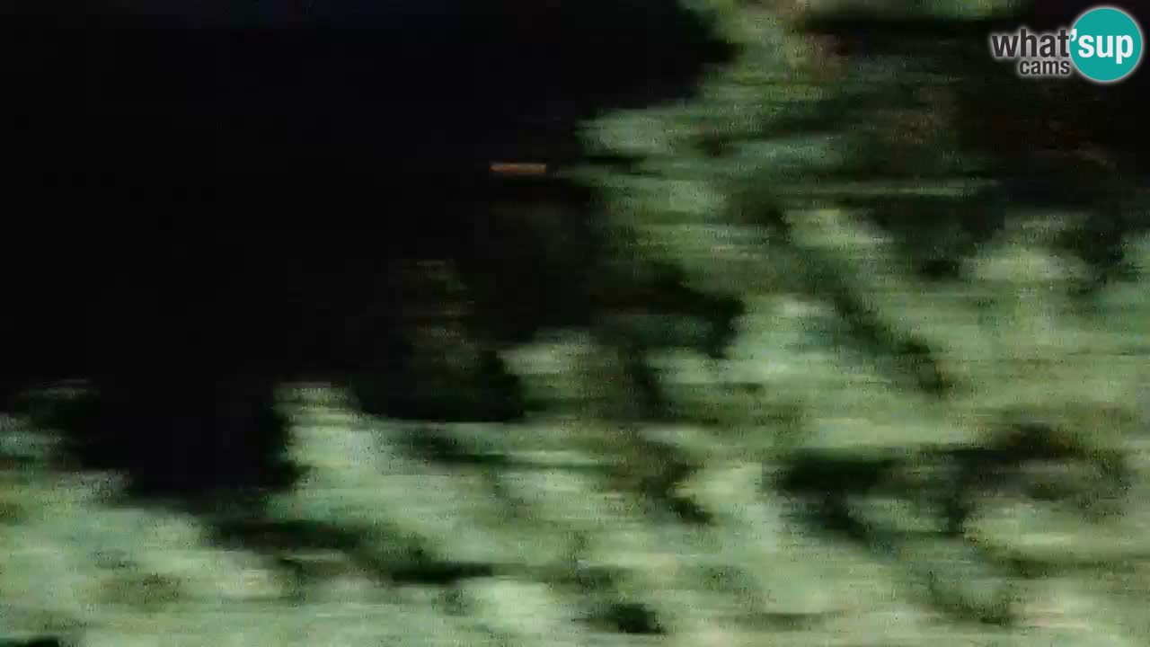 Lumbarda resort Webcam Korčula