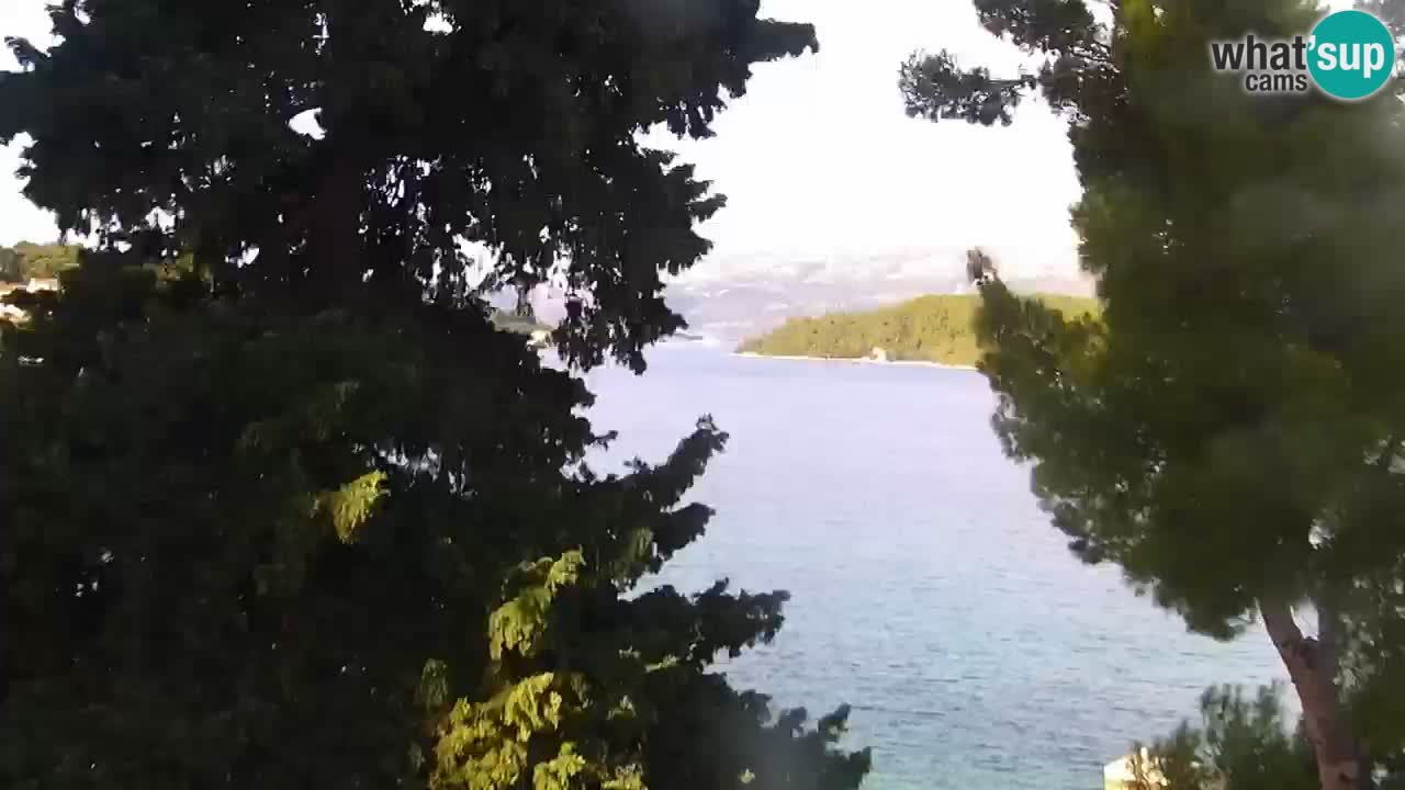 Lumbarda Resort camera en vivo Korčula