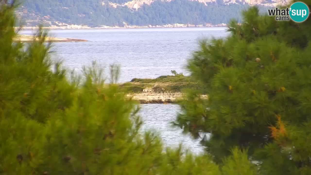 Lumbarda resort Webcam Korčula