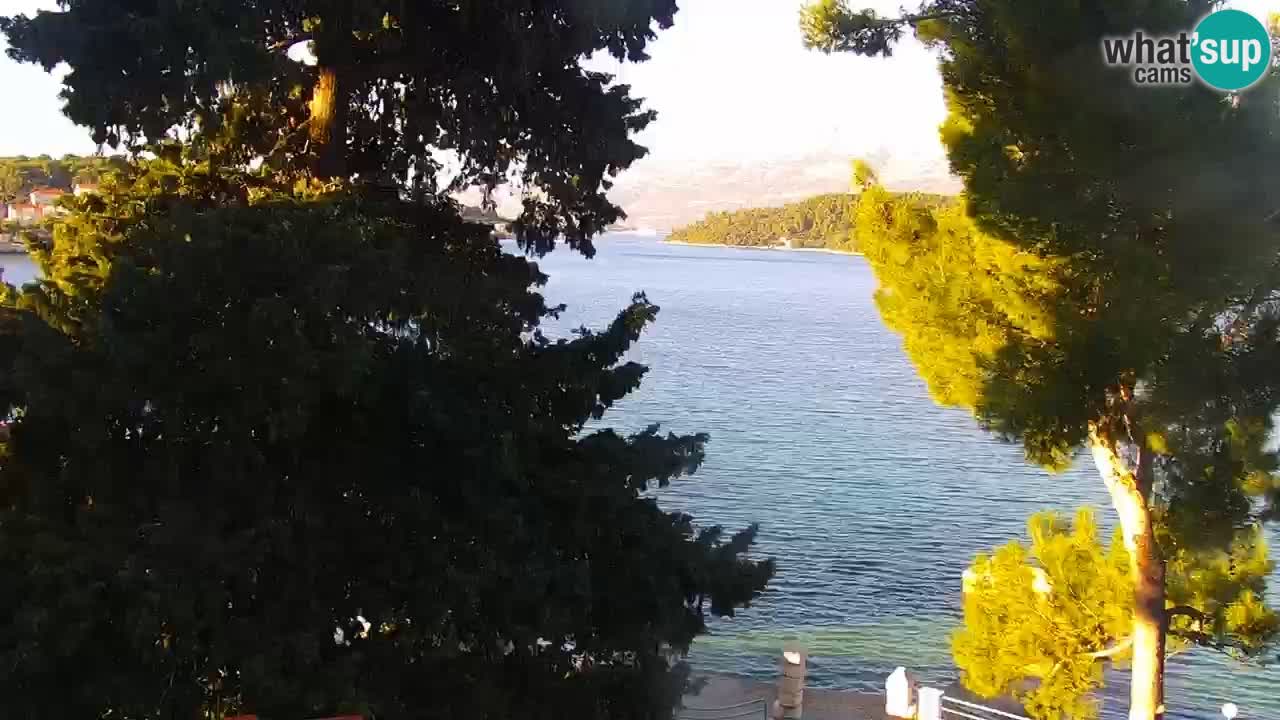 Lumbarda resort Webcam Korčula
