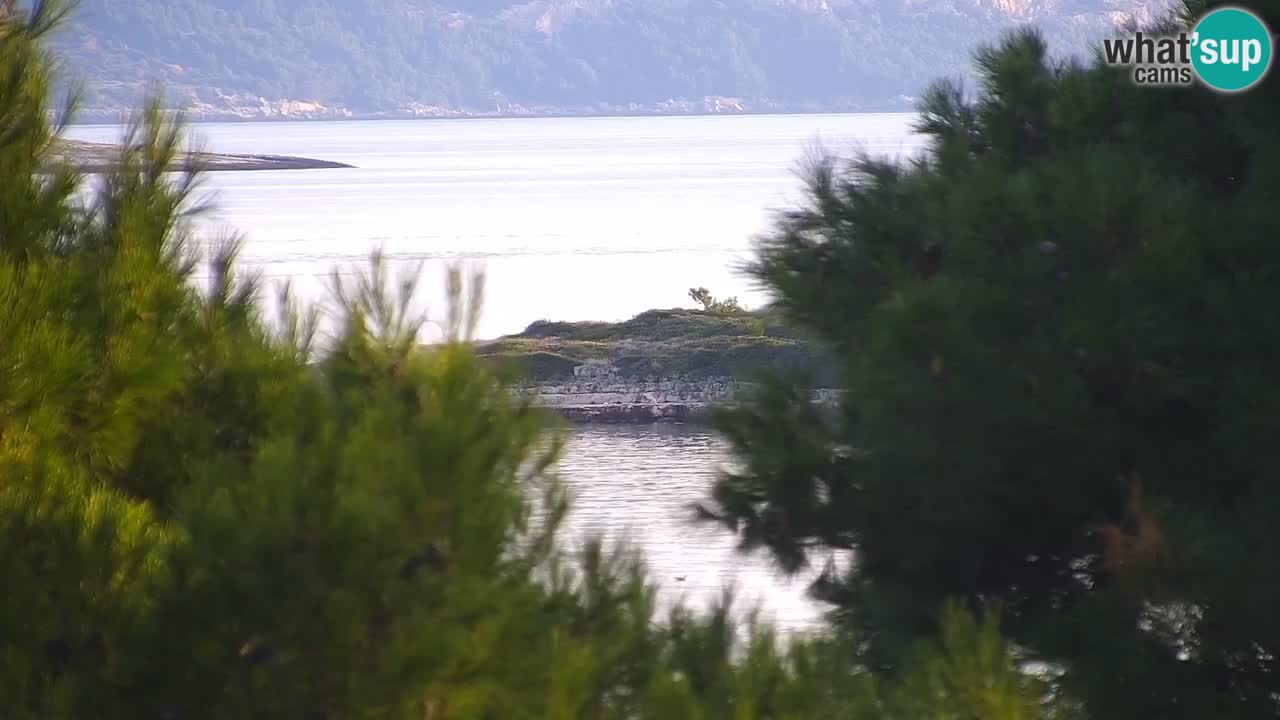 Lumbarda resort Webcam Korčula