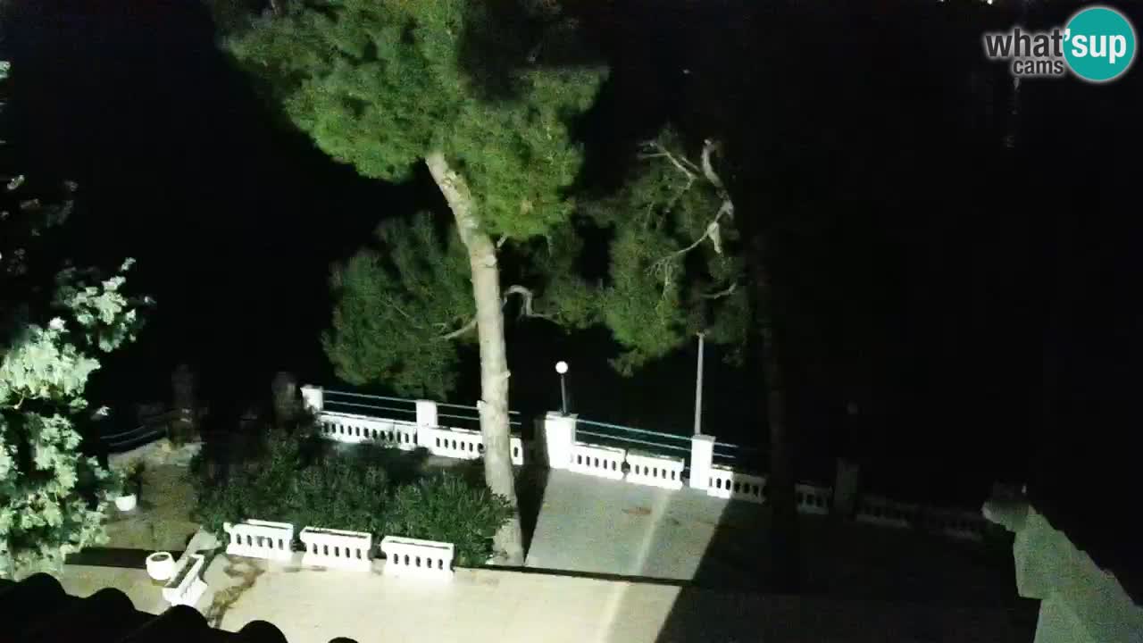 Lumbarda Resort camera en vivo Korčula