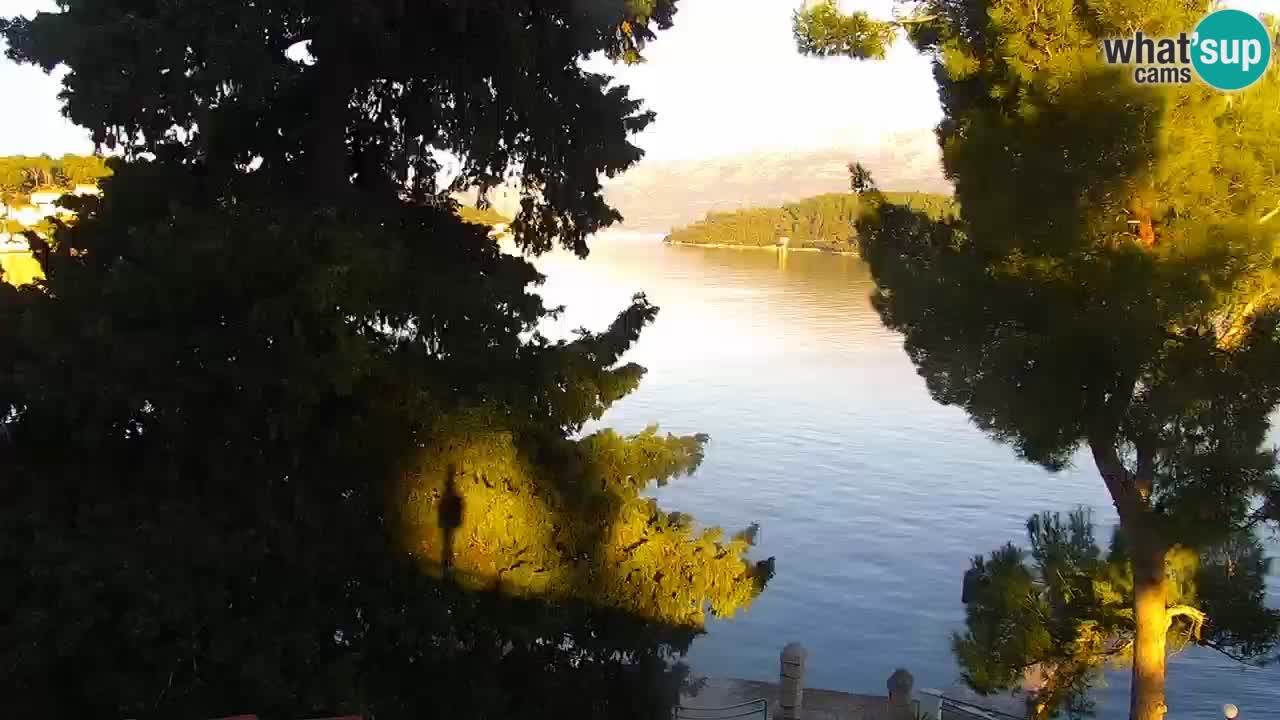 Lumbarda resort Spletna kamera Korčula