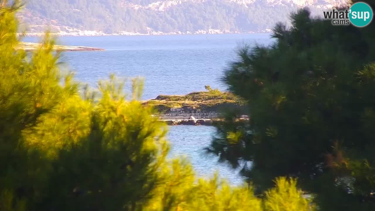 Lumbarda resort Web Kamera Korčula