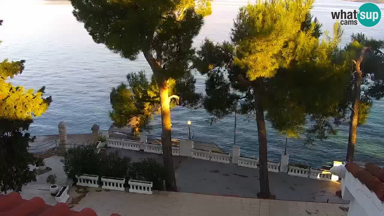 Lumbarda resort Spletna kamera Korčula