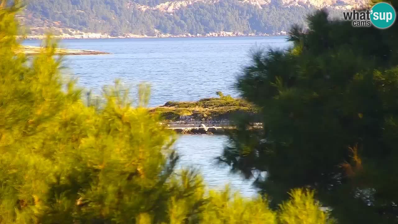 Lumbarda Resort webcam Kurzel