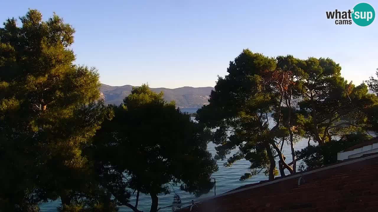 Lumbarda resort Spletna kamera Korčula