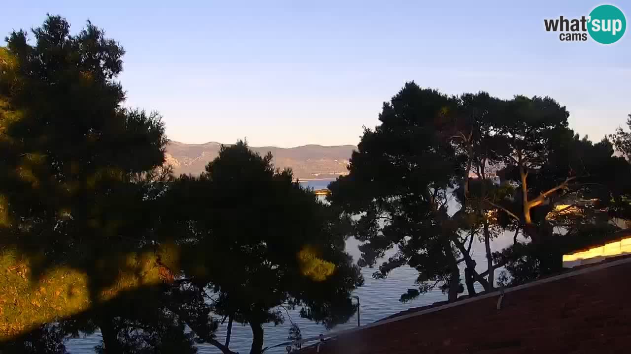Lumbarda resort Spletna kamera Korčula