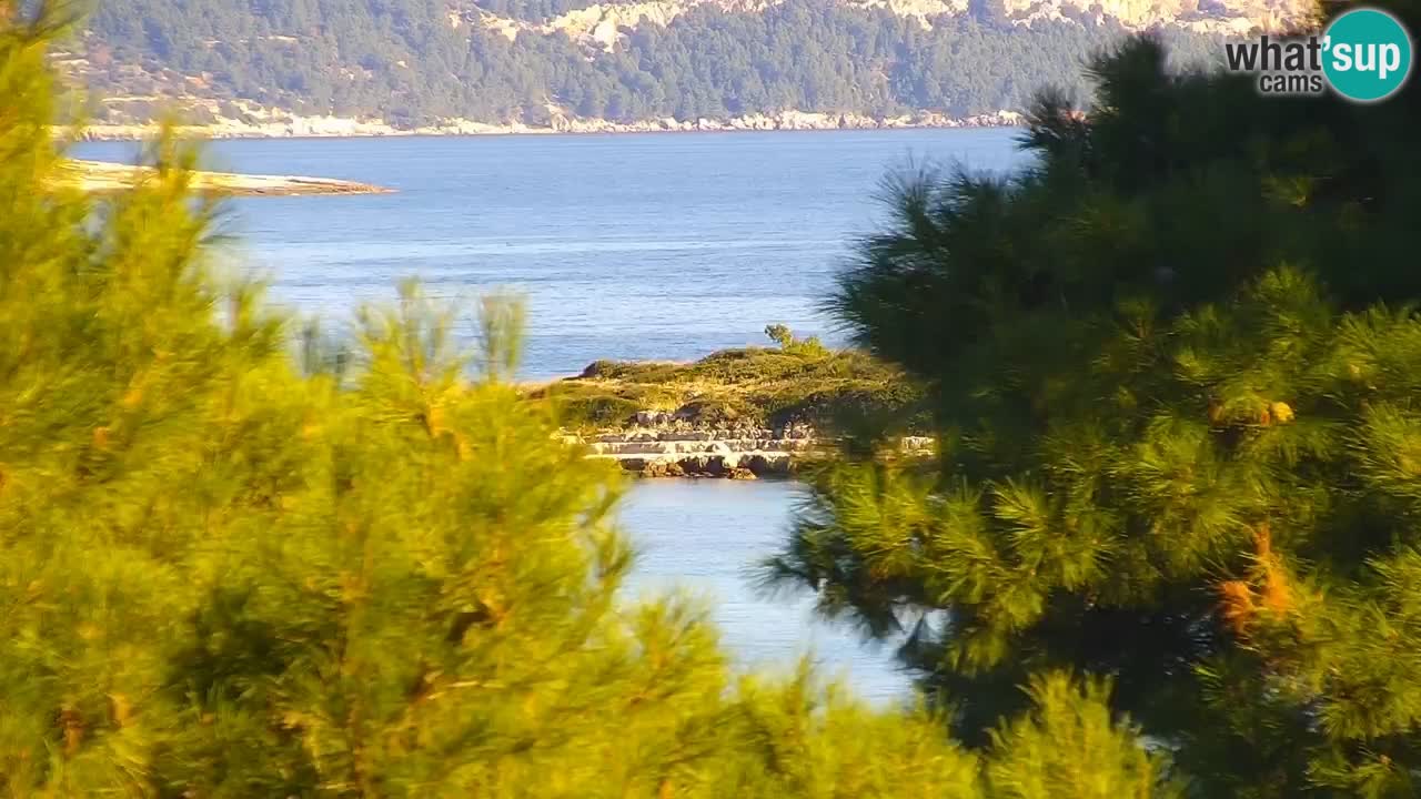 Lumbarda resort Webcam Korčula