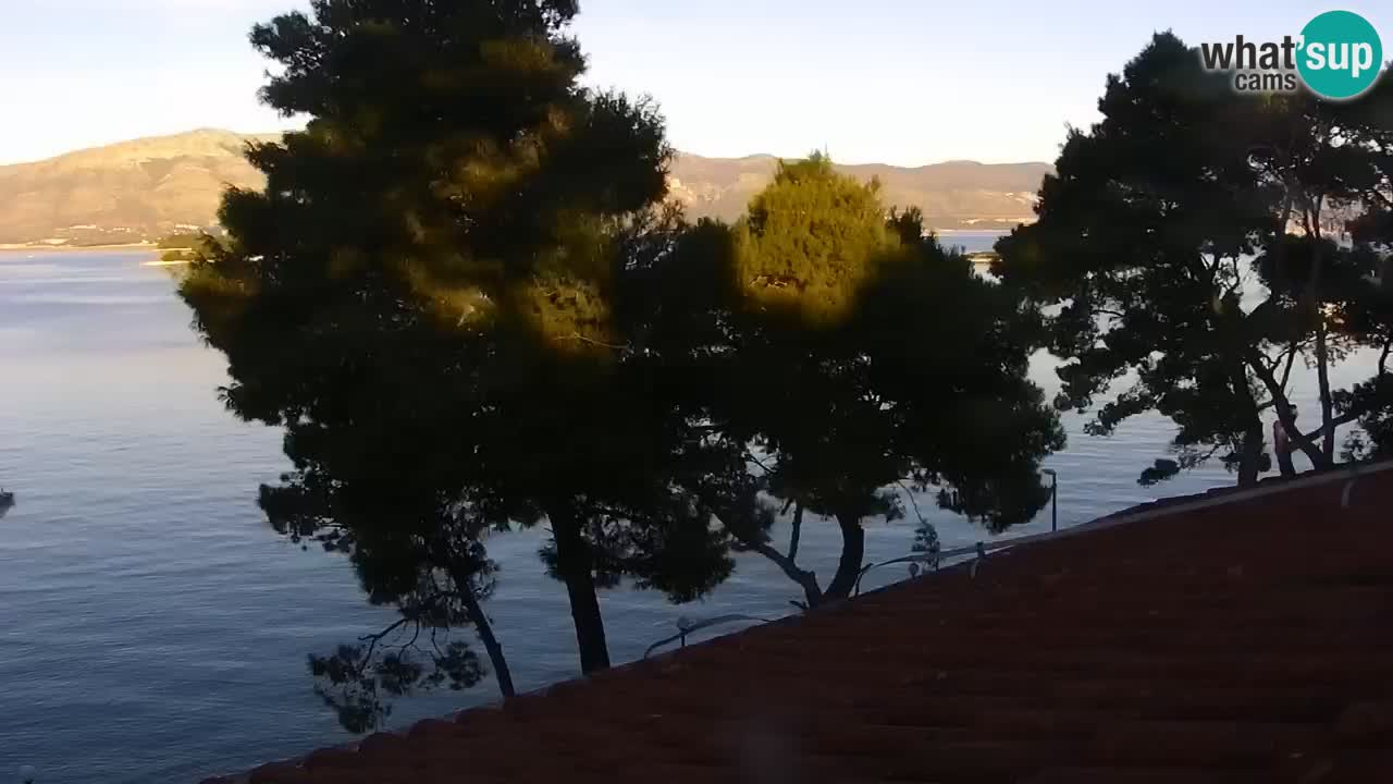 Lumbarda Resort live cam Curzola