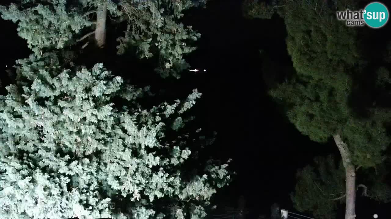 Lumbarda Resort webcam Kurzel