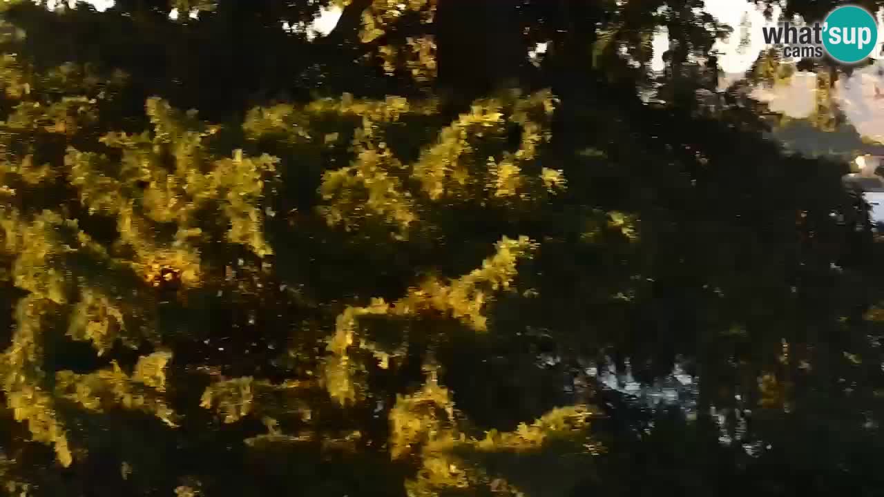 Lumbarda Resort live cam Curzola